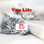 Van Life With Cats
