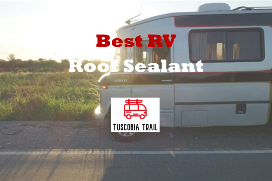 Best RV Roof Sealant