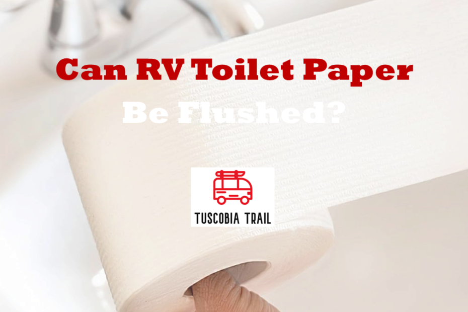 Can RV Toilet Paper Be Flushed