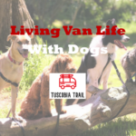 Van Life With Dogs